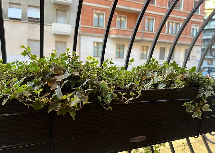 Mercadante Suite Central City